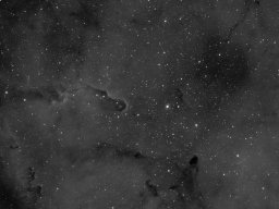 IC1396