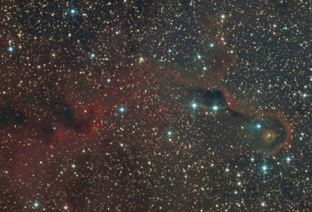 IC1396 - 